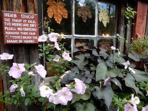 Flowers and Plants are Everywhere even Surrounding the Herb Shop Window - Enchanting