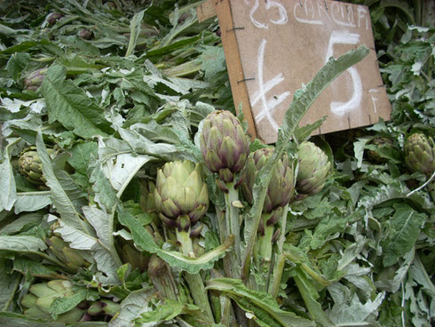 2011 Catania, Sicily - The Artichokes were in Season when we Visited in March