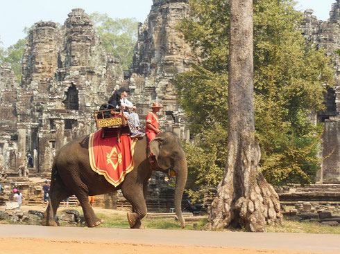 An Elephant strides past the Ancient Ruins of the Bayon Temple in Angkor Thom