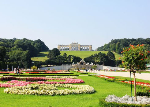 Vienna's Schonbrunn Palace Gardens are a Sight to Behold on your Tour of Imperial Cities