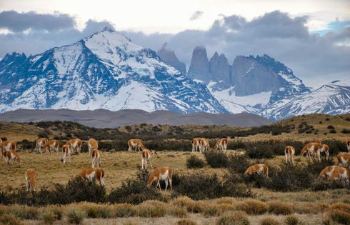 Patagonia: The Edge of the World features Argentina, Chile, and a 4-Night Patagonia Cruise