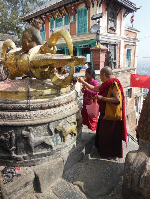 2013 Pilgrims and Monkey at the famous Monkey Temple in Kathmandu, Nepal