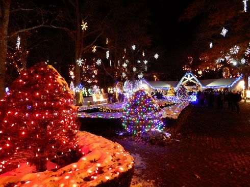 Lights of Every Color Celebrate the Christmas Season at LaSalette