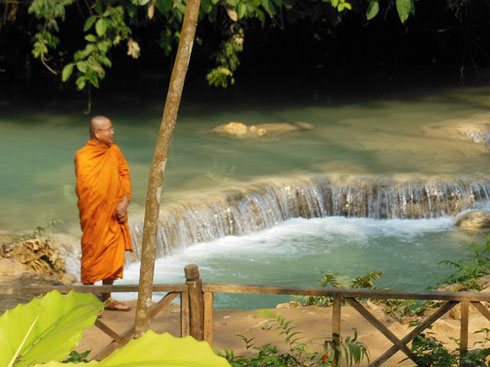 2015 A Monk poses at the lower falls of Tat Kuang Si - a Tropical Paradise