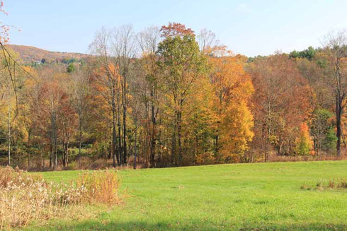 Autumn Color at the Norman Rockwell Museum in Stockbridge