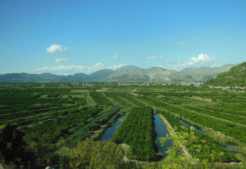 This Beautiful Valley Surrounded by Mountains is the Bread Basket of Croatia