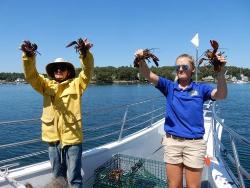 2022 Boothbay Harbor Lobster Haul on our Harbor Cruise aboard Pink Lady