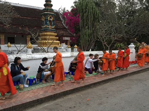 2015 Buddhist monks collect alms from our group at a 6:00 am ceremony