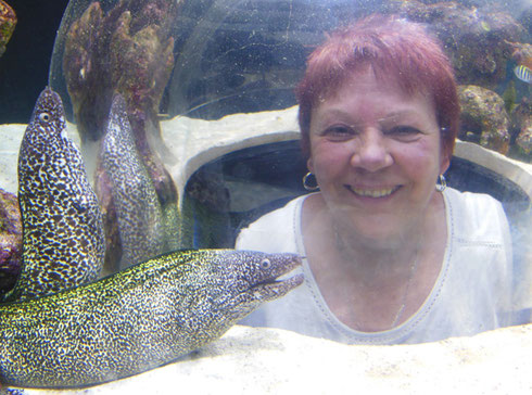 2016 A Passenger Getting to Know the Moray Eels at Coral World on St. Thomas