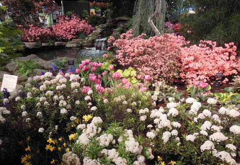 A Stunning Floral Display around a Vernal Pool at the 2017 Boston Flower Show