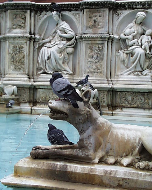 2005 The She-Wolf in Siena's Famous Fountain is usually Covered with Pigeons