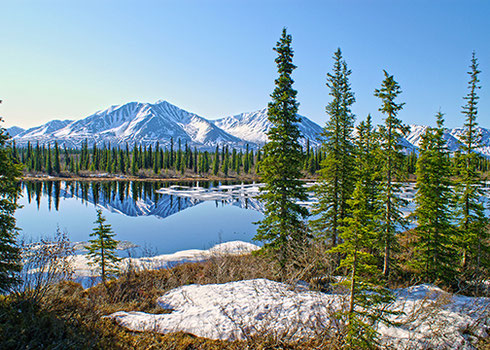 Thrill to the Views of Denali National Park from your Luxury Domed Rail Train