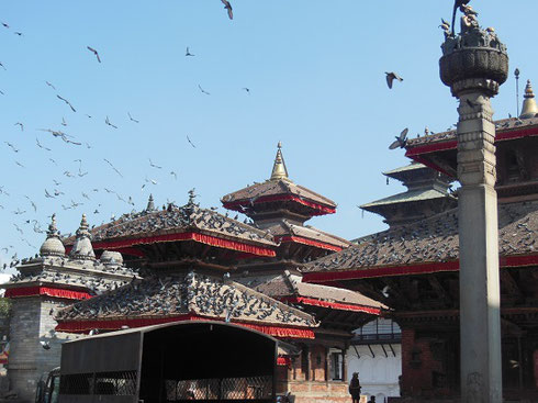 2013 Thousands of Pigeons on the Roofs of the Temples of Durbar Square in Kathmandu