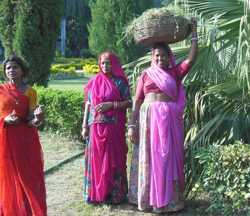 2013 Three Women tending the Gardens at a Palace in Udaipur