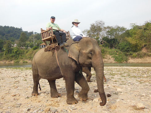 2015 Rescued from the Timber industry, our gentle Elephant was named Hamong