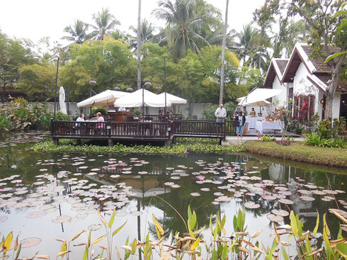 2015 Our Breakfast Pavilion at the Sanctuary was outdoors by the Lotus Pond