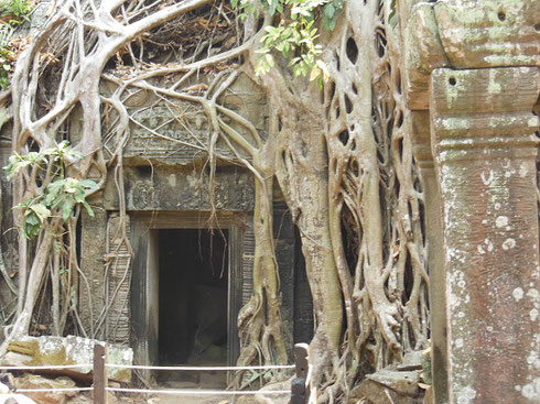 2015 The Entrance at Ta Prohm used by Lara Croft: Tomb Raider in the 2001 film