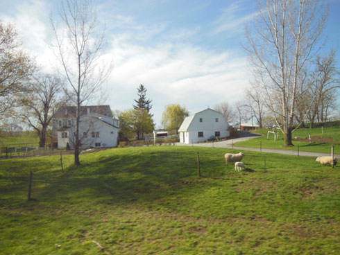 You can Always tell if the Farm is Amish - No Electrical Wires Leading into the House