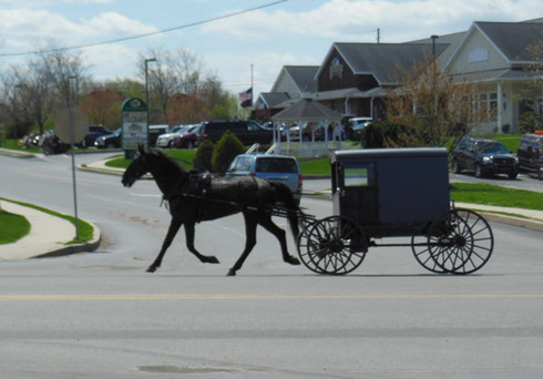 2013 Expect the Unexpected - Horse and Buggy on the Street with Motorized Vehicles