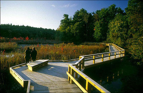 The Boardwalks at Broadmoor are Handicap Accessible and Bring you to Nature