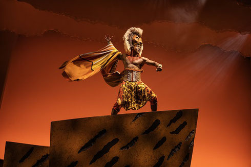 Erik D. Patrick as Simba - Disney, The Lion King - Photo by Matthew Murphy