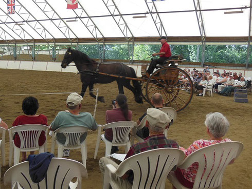 Passengers are seated as they watch the carriage demonstration