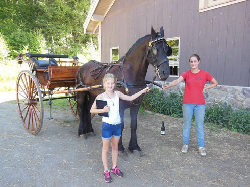 The carriage is ready to go into the arena