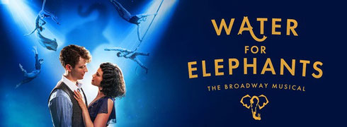 Water for Elephants Logo