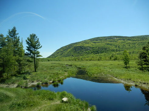  A View from the Loop Road in Acadia National Park, Bar Harbor, Maine