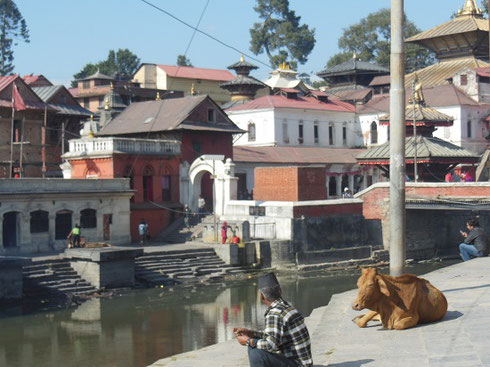 2013 The Ghats of Bhatapur's Pashupatinath Temple Complex on the Baghmati River