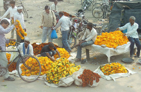 2013 Vendors in Agra with Marigold garlands for Sale during the Festival of Diwali