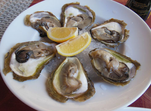 2016 Dubrovnik Oysters Fresh from the Sea on the Outdoor Patio at Bota