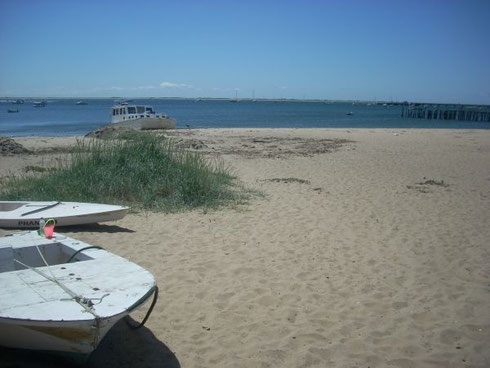 A View of the Beach Just Beyond McMillan Wharf
