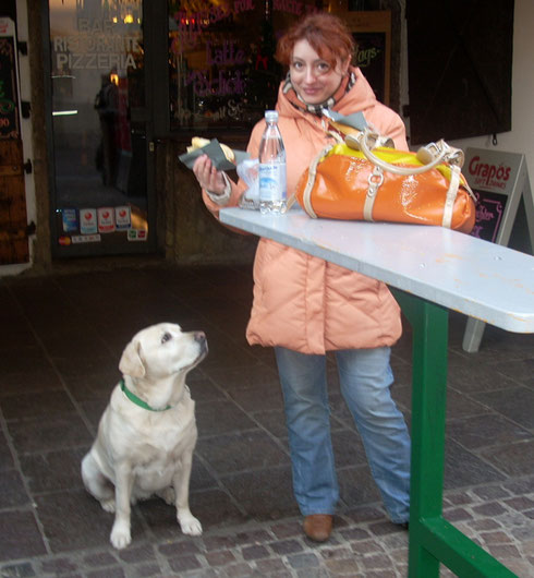 2008 Everybody Celebrates - Even this Dog Waiting for a Bite of Schweinwurst