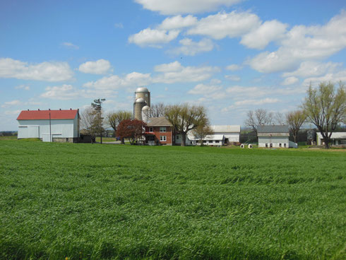 2013 Nothing is More Beautiful than a Bright, Sunny Day in Pennsylvania Dutch Country