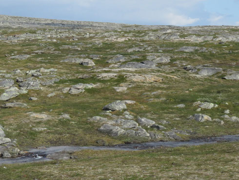 Le plateau du cercle polaire