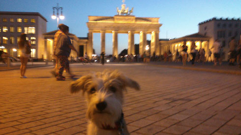 Am Brandenburger Tor - etwas verschwommen, ich hatte keine Lust mehr auf Bilder