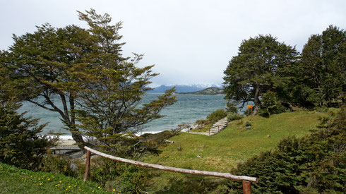 Da der Trek auf der Isla Navarino nicht klappt, machen wir eine dreitägige Wanderung im Nationalpark Tierra del Fuego. Eine längere Strecke gibt der Park leider nicht her...