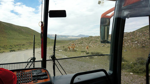 Busfahrt zurück nach Puerto Natales