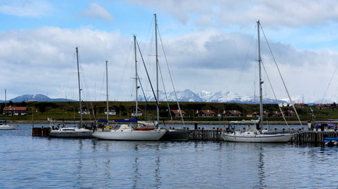 der Hafen von Ushuaia, ob die alle um Kap Horn segeln?