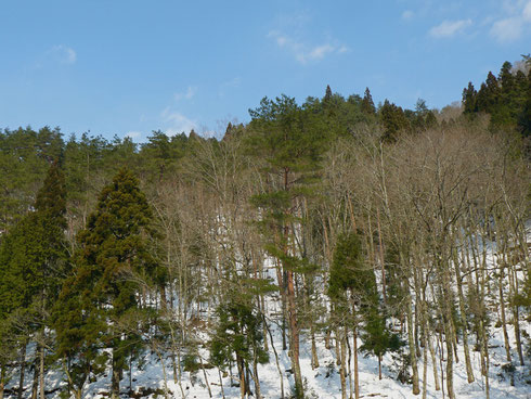 2014.1.1