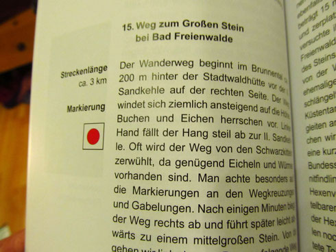 Leseprobe Großer Stein