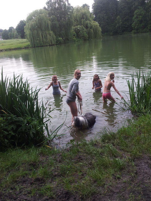 Die Trick Kids sollten eigentlich ihren Hunden das schwimmen beibringen