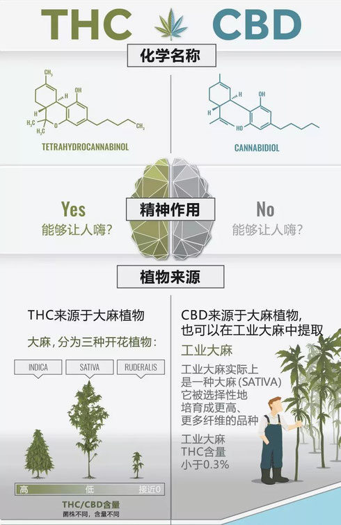 CBD THC工业大麻 治疗癌症 德国欧亚商旅