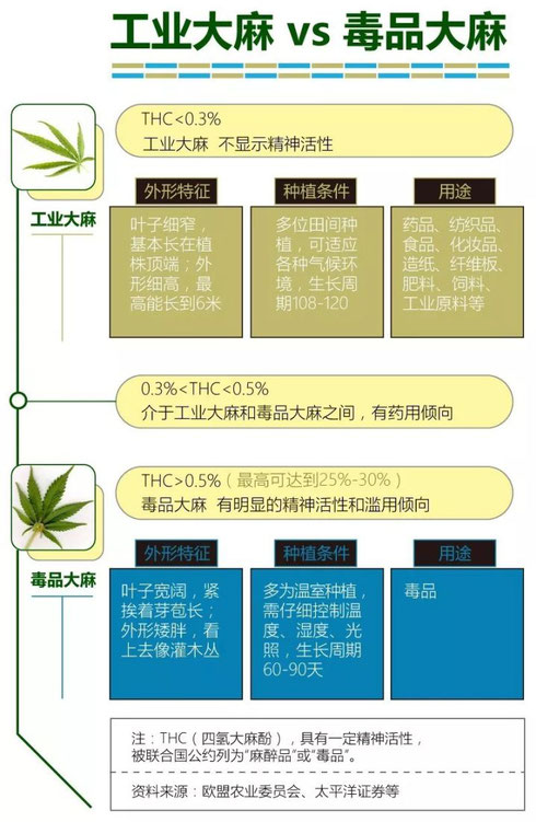 CBD THC 区别 大麻治疗癌症 德国欧亚商旅 Orasien