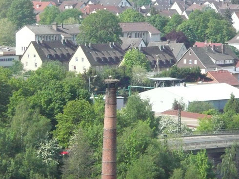 Blick von der Zuckerfabrik zum Schornsteinnest. Rechts im Hintergrund der Horst Riedinger.  Foto: Ulrike Mose