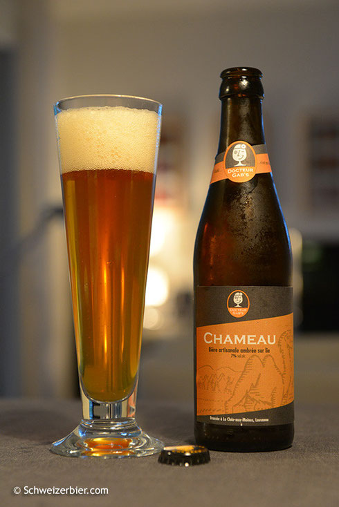 Docteur Gab's - Chameau