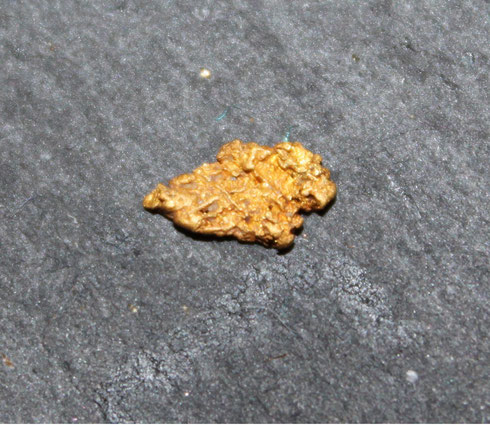 Gold Waschgold Flüsse Gebirge Nugget mit Quarz