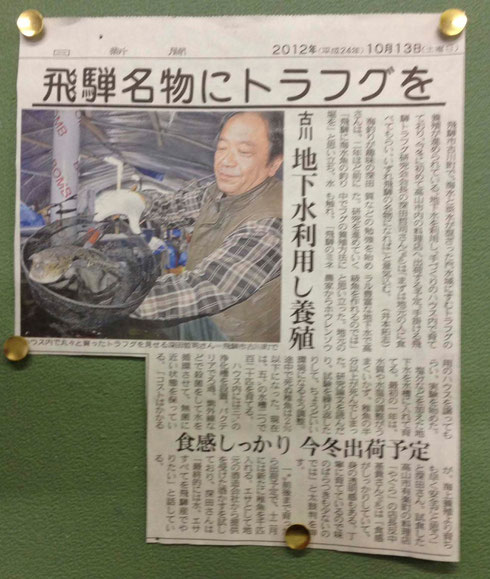 中日新聞