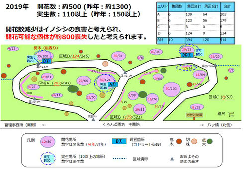 図１．開花数と実生数、および、それらの場所毎の分布